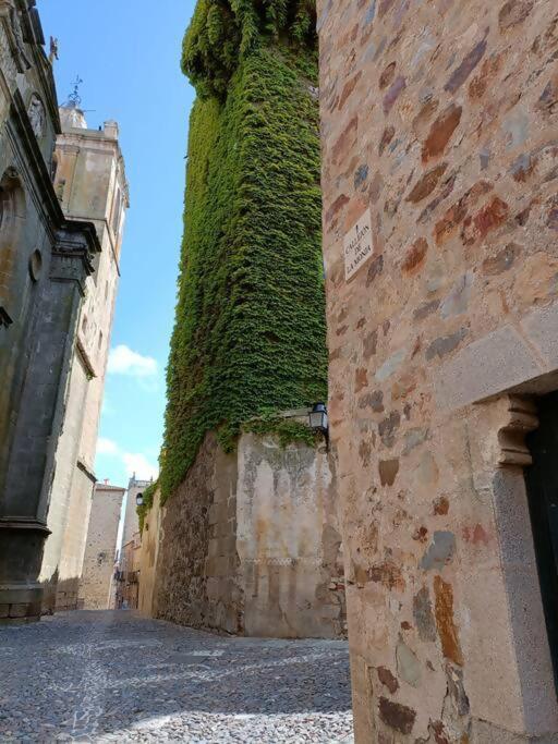 Casa Aguila Casco Antiguo Patio Privado Lägenhet Caces Exteriör bild